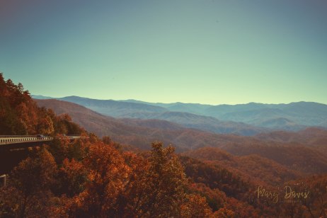 Vintage Smoky Mountains